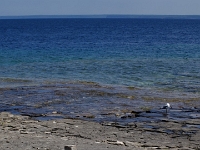 32873RoCrLe - Beach walk (and swim) on Flowerpot Island.JPG